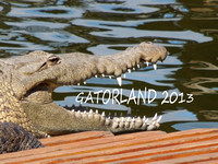 2013 Gatorland